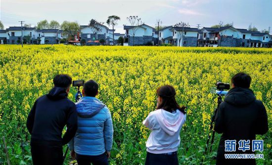 �������������B(t��i)����1���Ĵ����ԡ�������ý ���F(xi��n)�l(xi��ng)�����d