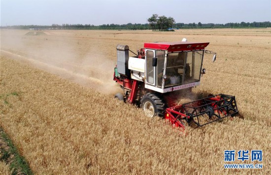 ����(j��ng)��(j��)����3���ӱ��������ġ�æ����