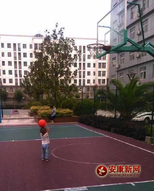 ��������Ͷ�@��