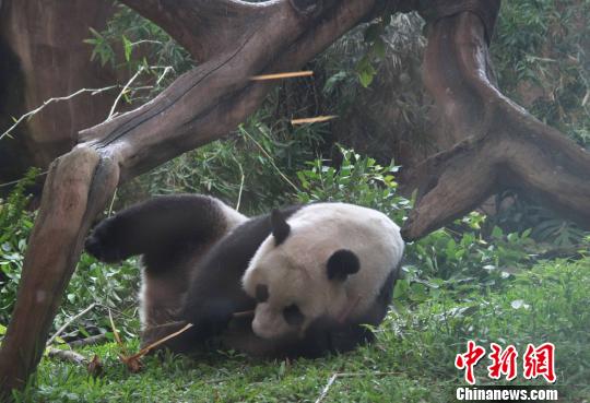 �D�顰�����������似��(c��)�L������������ �z