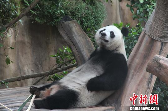 �D�顰���������ژ�����u������������ �z