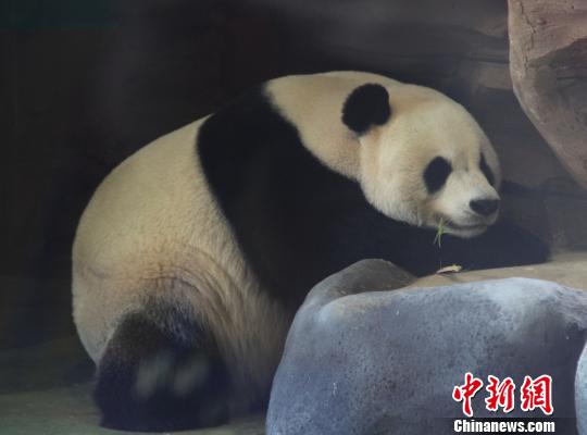 �D�顰���ա��ڴ��˯���������� �z