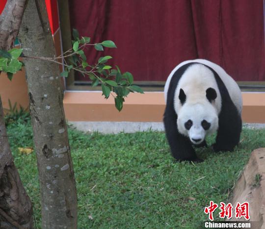 �D�顰������������ɢ������������ �z