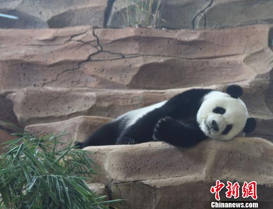 �D�鄂��ġ����ա����u������������ �z