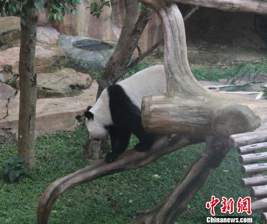 �D�顰�������ߡ���ľ������������ �z