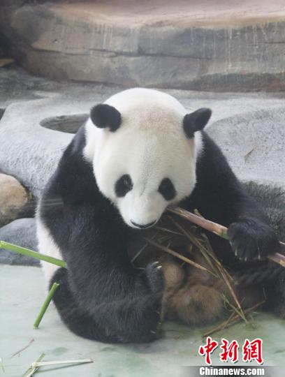 �D�顰���ա��ڳ��������������� �z