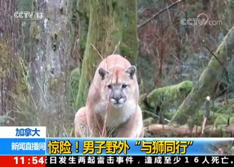 ���ô��@�U������Ұ�⡰�c�{ͬ�С�