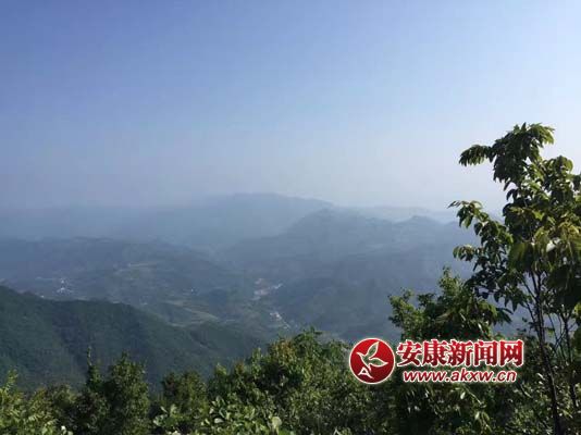 �ܼ�կ�L�� (3).jpg