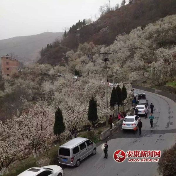 �?c��)뻨�������ܲ����?jpg