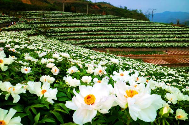 �ٮ�ĵ������(j��ng)��`��