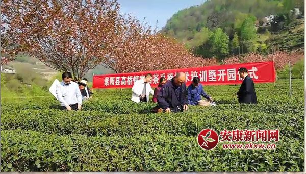 ��ꖸߘ��(zh��n)�����_������