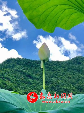 調(diào)整大小 微信圖片_20180723112425.jpg