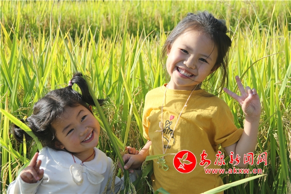 ��������Ԓ�S�� ���޻���X�