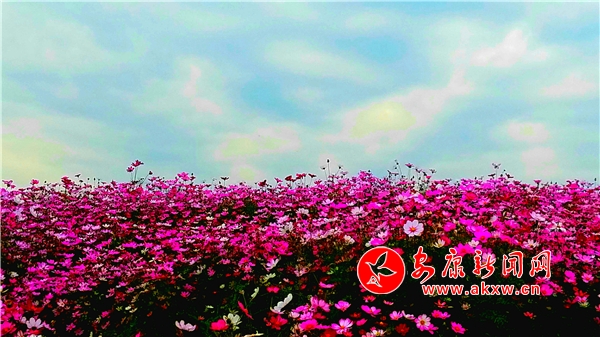 �Ɖ�С�(zh��n)