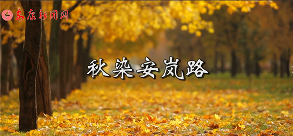 ��Ⱦ����·