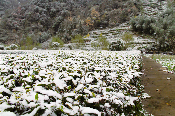 ����������@���M�D��