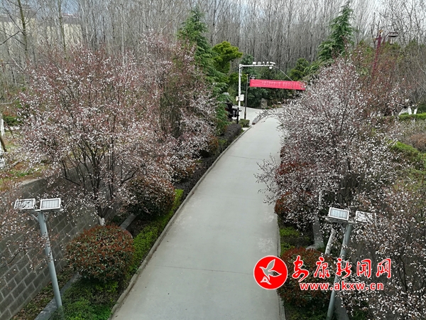 �h�������ů���_(k��i)