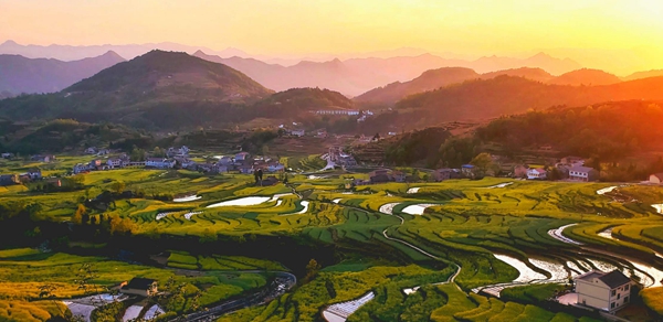 ϼӳ�P�߹�����