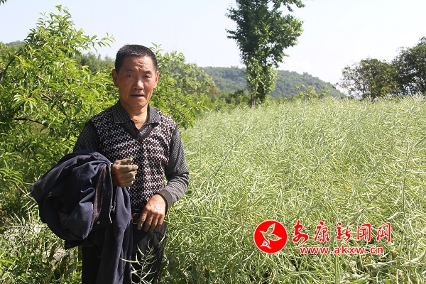 67�q�ď����F������(l��i)�����e(cu��)��������Ͳ������������f(shu��)��ȥ�����µ�600��߀�������������u�������Լ��̓��������ԣ�����̤��(sh��)