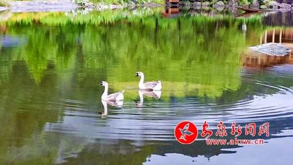 �G�����?n��i)�Ԋ��?></a><p class=