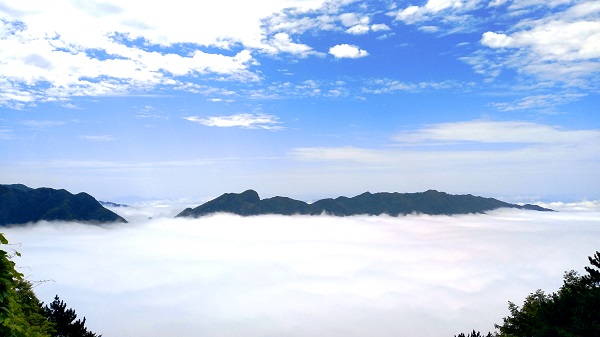 �P���ƺ����^