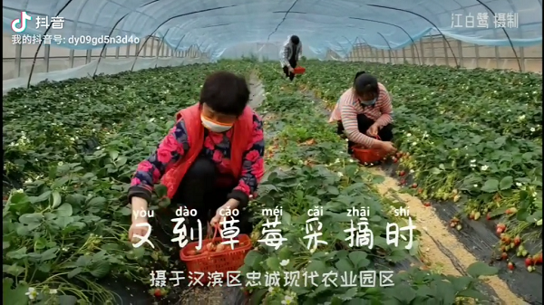 �ֵ���ݮ��ժ�r(sh��)