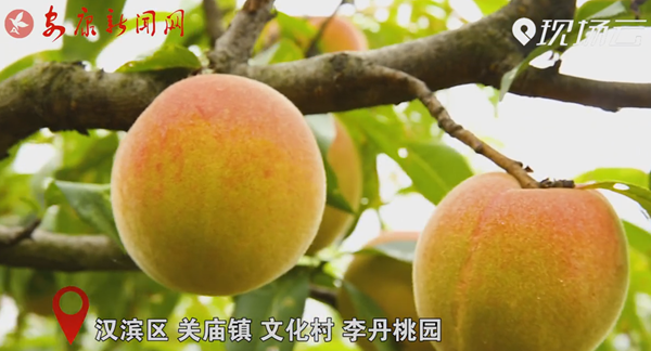 ҕ�� | ��҈@����������