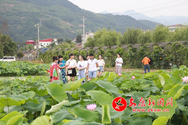 ʯȪ�غӣ��ɻ��h�����́�