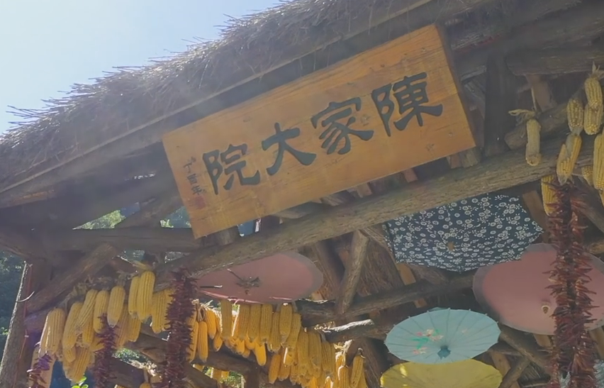 ҕ������ꐼҴ�Ժ�����l(xi��ng)������ ���w�(y��n)�r(n��ng)�����