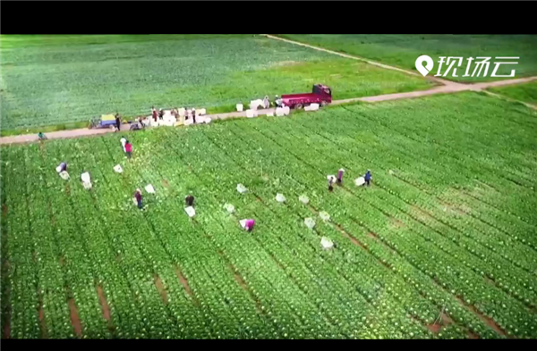 ȫ����Óؚ���ԡ���(y��u)��o�Ƭչ�������Q��(zh��n)Óؚ�ڽ񳯡���һ�� ����Ӳ���^������