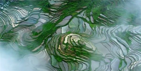 ȫ����Óؚ���ԡ���(y��u)��o�Ƭչ�����o�Ƭ�����Ӣ����Ϧ�������弯����������