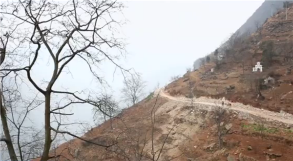 ȫ����Óؚ����(ji��n)����(y��u)��o(j��)�Ƭչ�����μ�ӰƬ�R�����۽����yȺ�w�����ϵĴ��f��