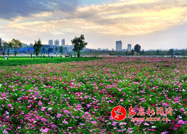 �����������ǖ|�^(q��)����ȥ