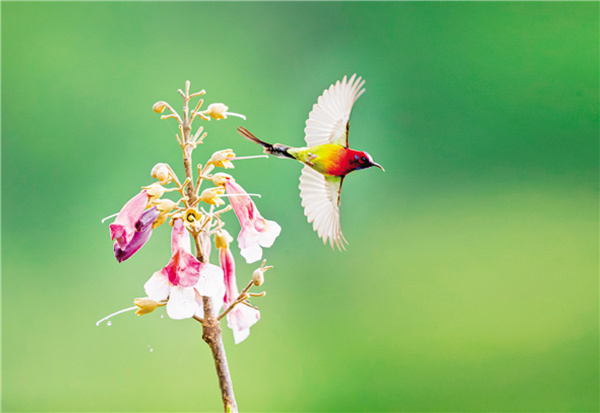 �c�B���� ���B(t��i)����