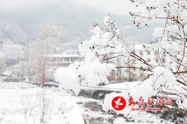 ��ѩС�(zh��n)�����C(j��)