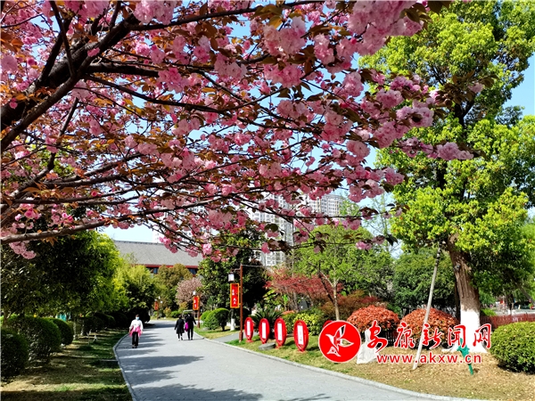 �d�����@���ⰻȻ