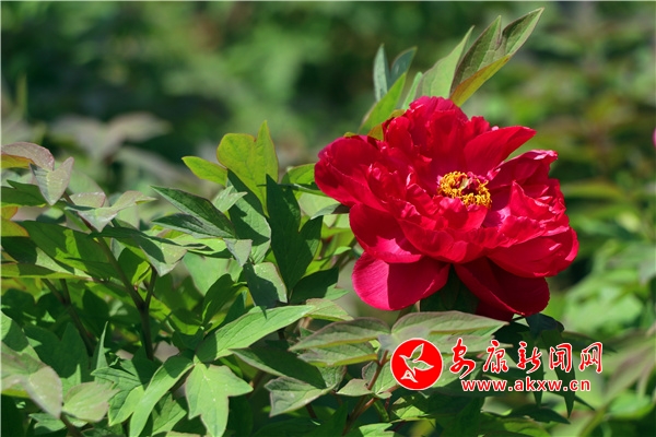 �hꎣ�ĵ�����_������