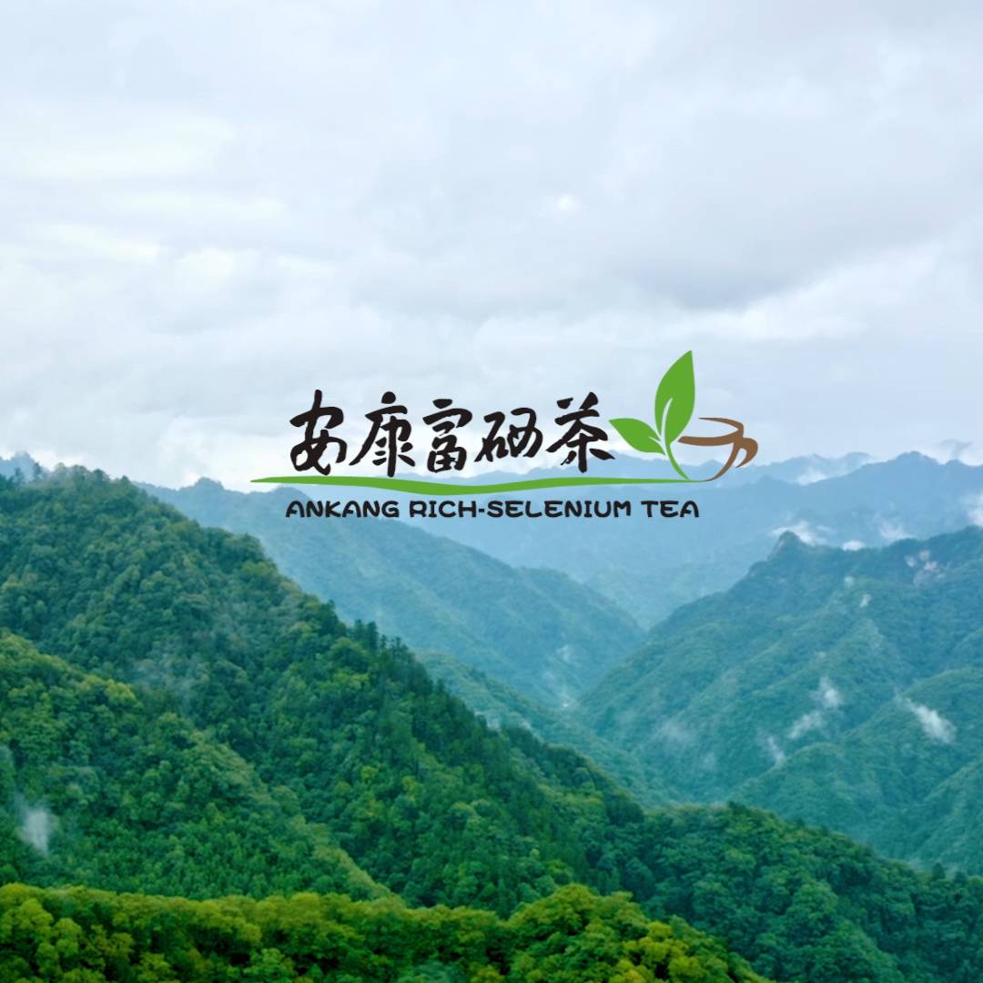 ��������������Ƭ��