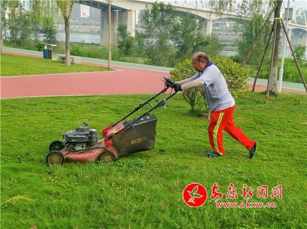 ������ƺ