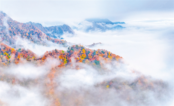 ��(hu��)��ʯȪ �������F