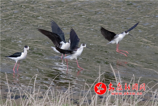 �ڳ��L�_���F(xi��n)��h�