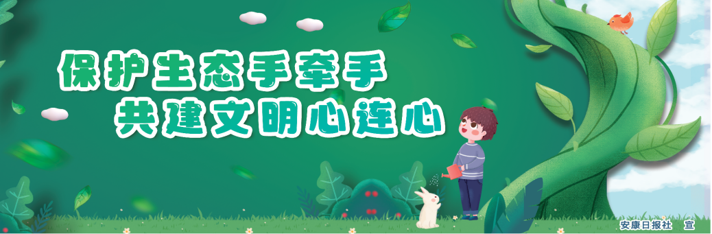 ���o���B(t��i)�֠��� �����������B��