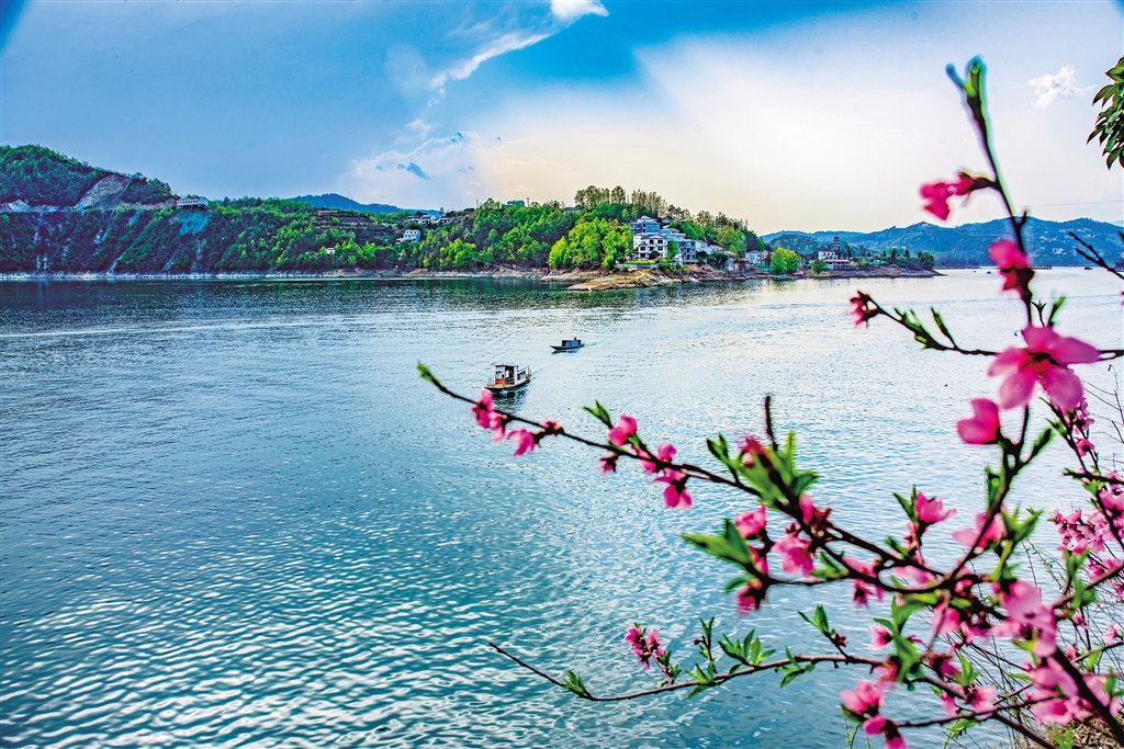 �f핱̺� ��֦��ɫ