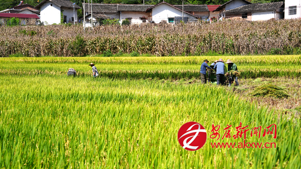 ˮ���_砹Țw�}