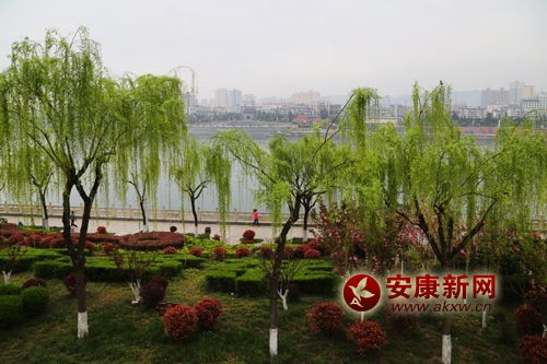 ���L�־G���ϰ�