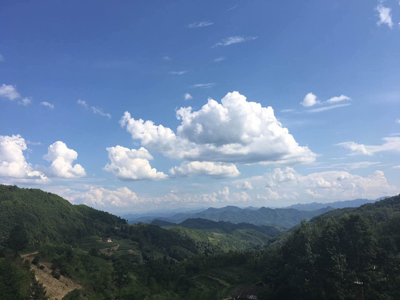 �hꎣ�����ǵ��{(l��n)�ĺ�,΢����i��