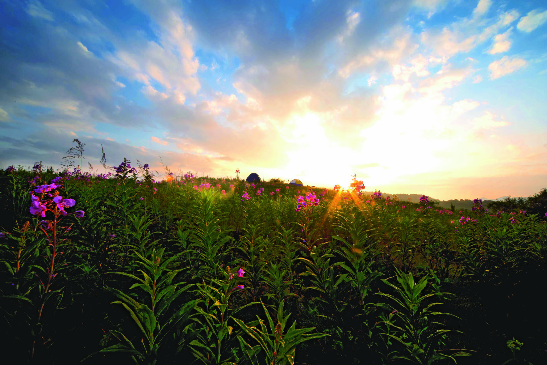 ���C(j��)��Ȼ