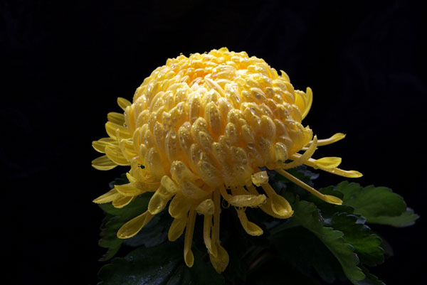 ����һ��ջ��_(k��i) ��ȶ��˰����(l��i)