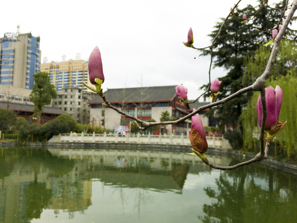 ����������������