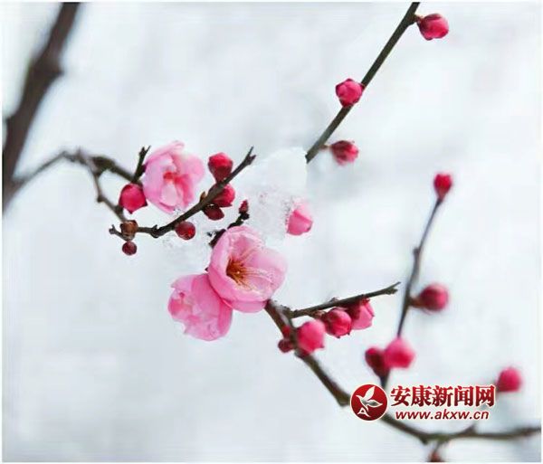 ���L�L�w���������l��һ���փɰ���